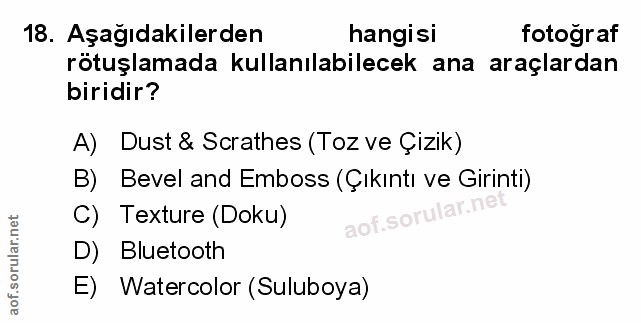 Soru 18