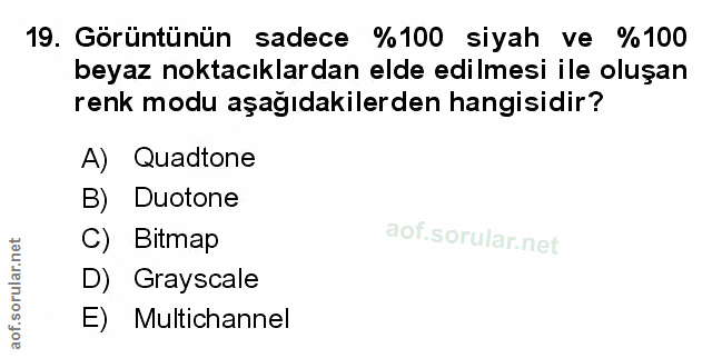 Soru 19
