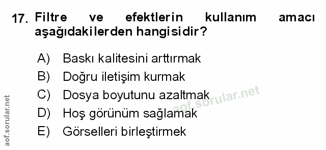 Soru 17