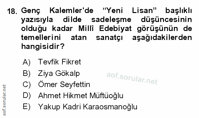 Soru 18