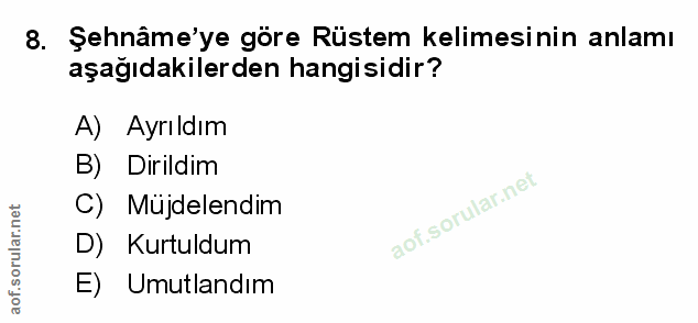 Soru 8