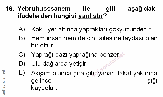 Soru 16