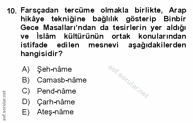Soru 10