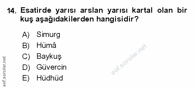 Soru 14