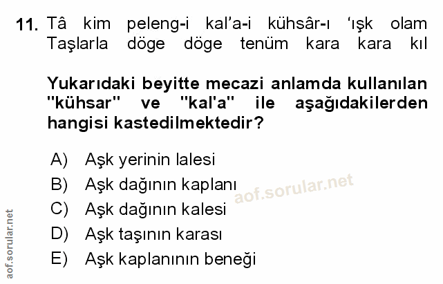 Soru 11