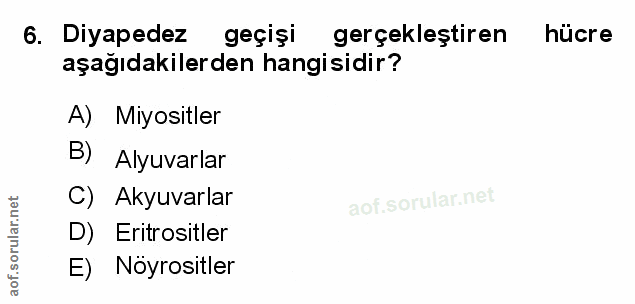 Soru 6