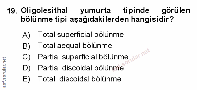 Soru 19