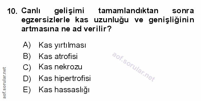 Soru 10