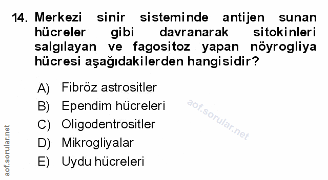 Soru 14