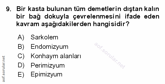 Soru 9