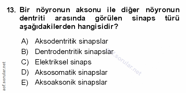 Soru 13