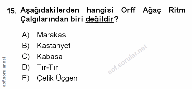 Soru 15
