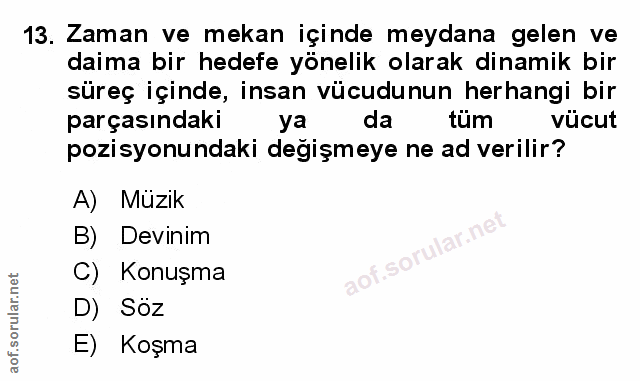 Soru 13