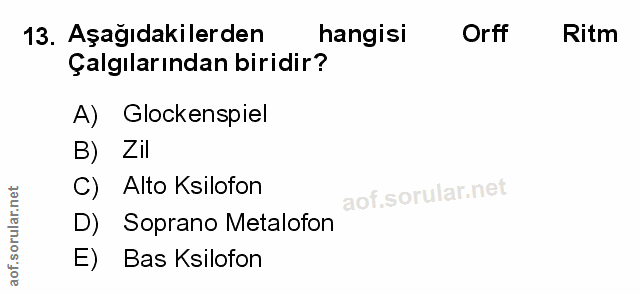 Soru 13