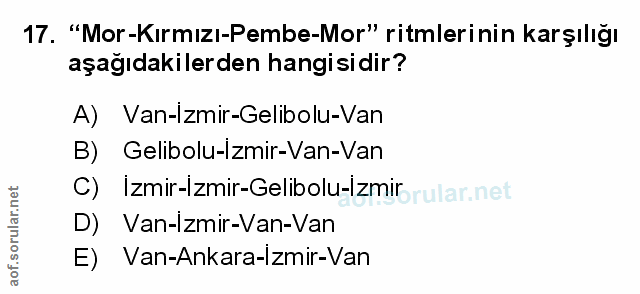 Soru 17