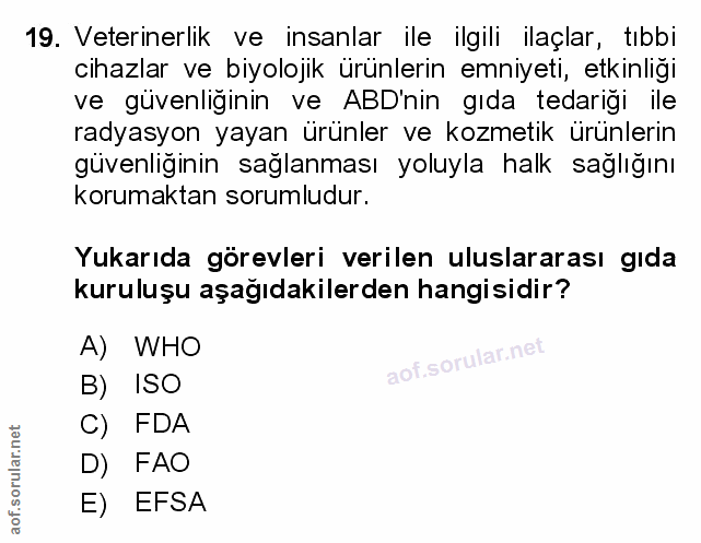 Soru 19
