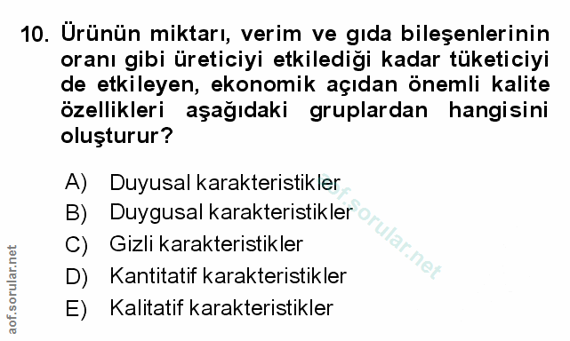 Soru 10