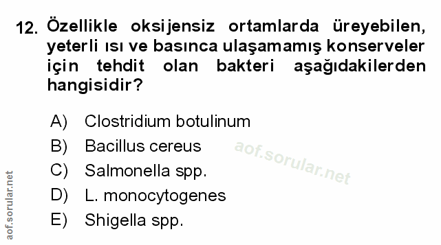 Soru 12
