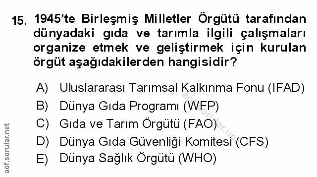 Soru 15