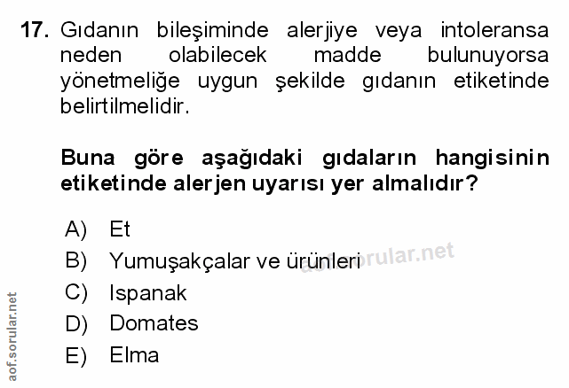 Soru 17