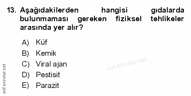 Soru 13