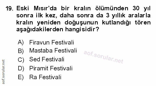 Soru 19