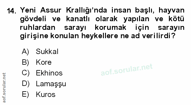 Soru 14