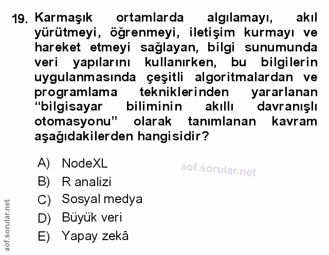 Soru 19