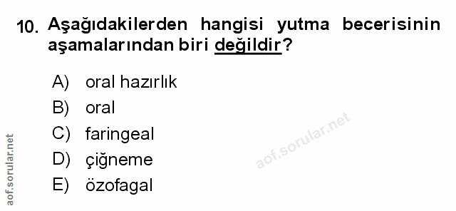 Soru 10
