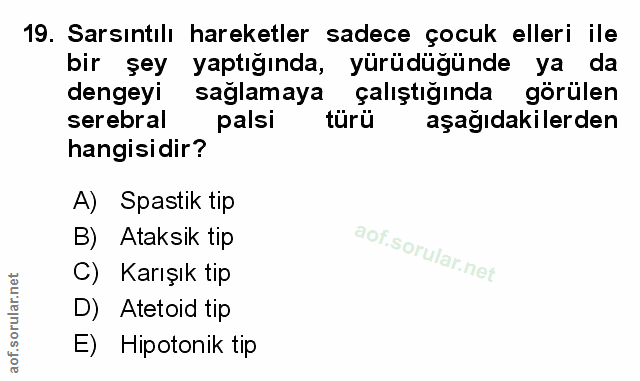 Soru 19
