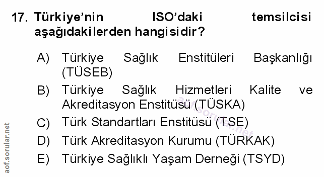 Soru 17