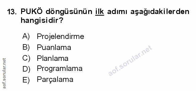 Soru 13