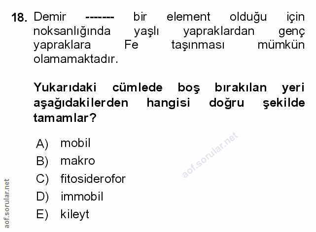 Soru 18