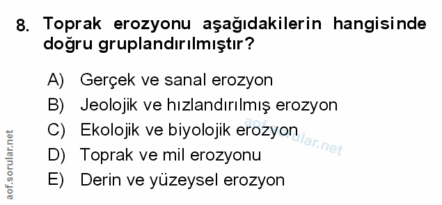 Soru 8