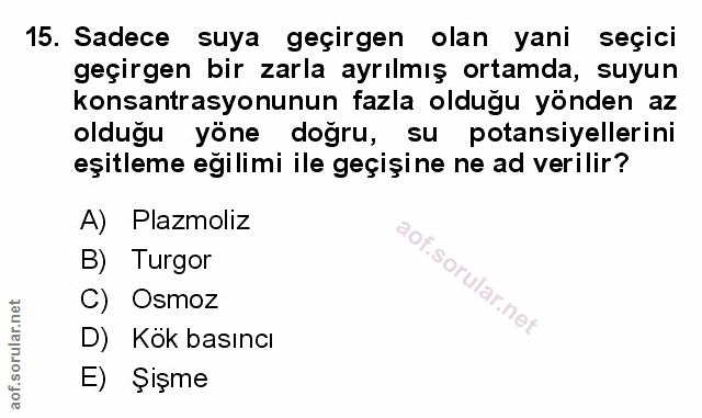 Soru 15