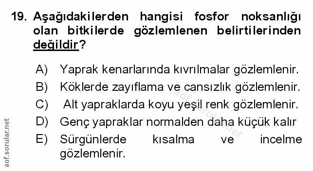 Soru 19