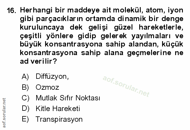 Soru 16