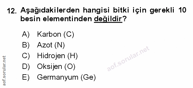 Soru 12