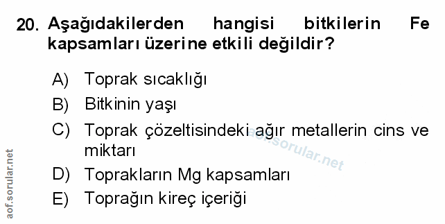 Soru 20