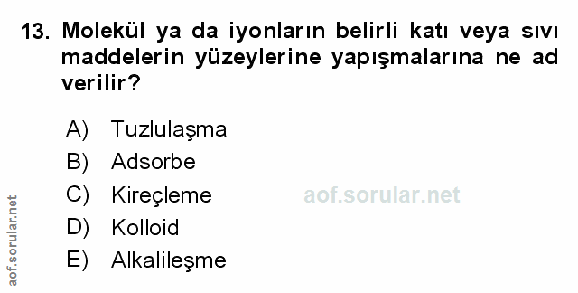 Soru 13