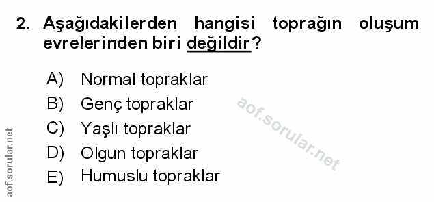 Soru 2