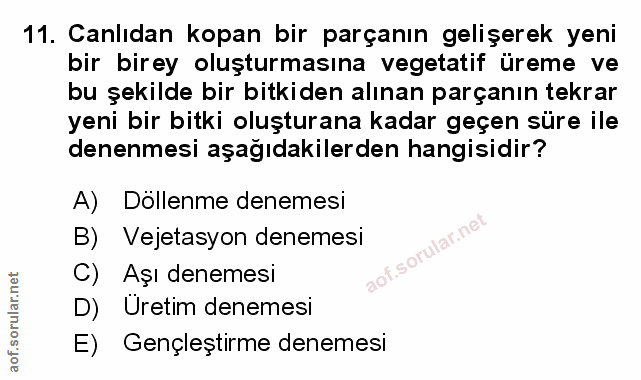 Soru 11