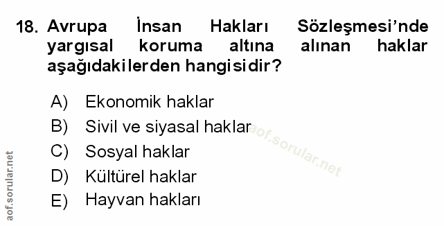 Soru 18
