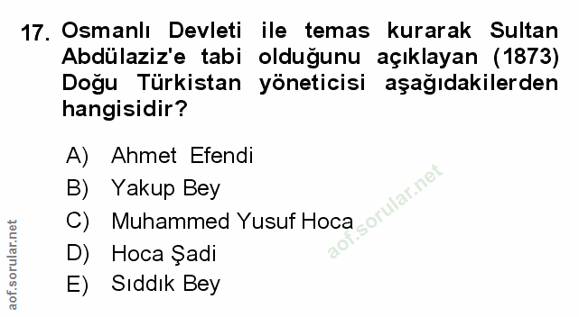 Soru 17