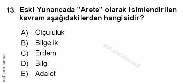Soru 13