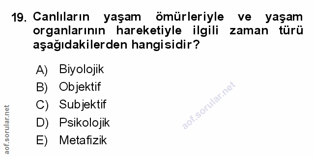 Soru 19