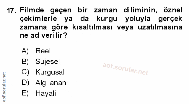 Soru 17