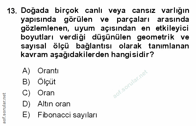 Soru 13