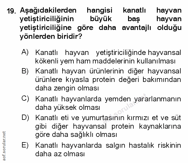 Soru 19