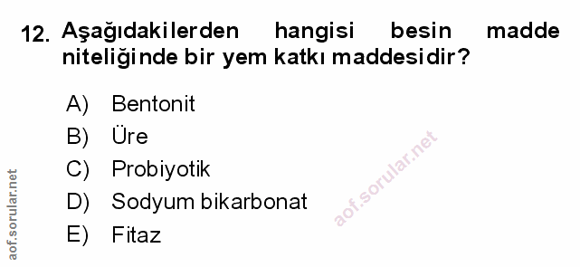 Soru 12
